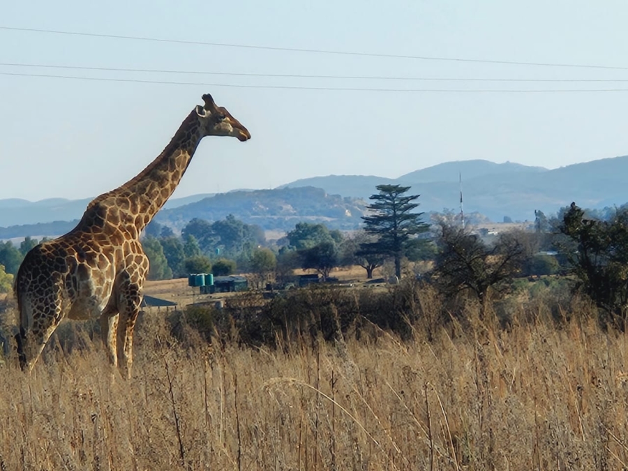 0 Bedroom Property for Sale in Potchefstroom Rural North West